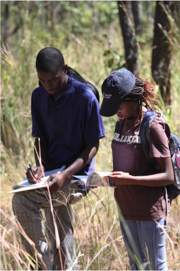 Chinhoyi University Fieldworks 2013/4